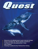 Quest