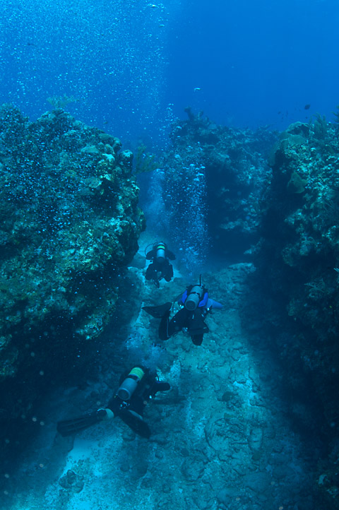 gue-caymanquest06_17