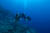 troublesome trio barrier reef copyright GUE david rhea