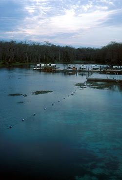 Wakulla River