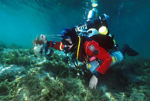 Wakulla Clean-up