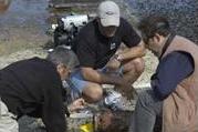 Examination of Punic age amphora thought to be approximately 2500 years old