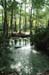 naturalbridge06_rb365