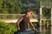 DSC_0125st