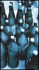 Bottles filled with an ammonium nitrate (fertilizer)/fuel oil mix. The ingredients are readily available