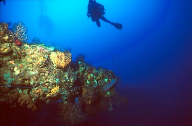 Bimini Reef