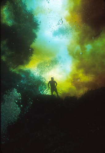 Ginnie Springs flow mix