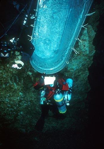 Wakulla Springs Deco