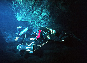 Wakulla Springs