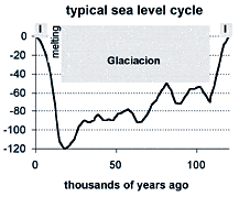 Graph 1