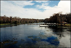 Wakulla River