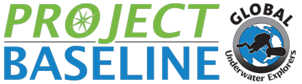 Project Baseline