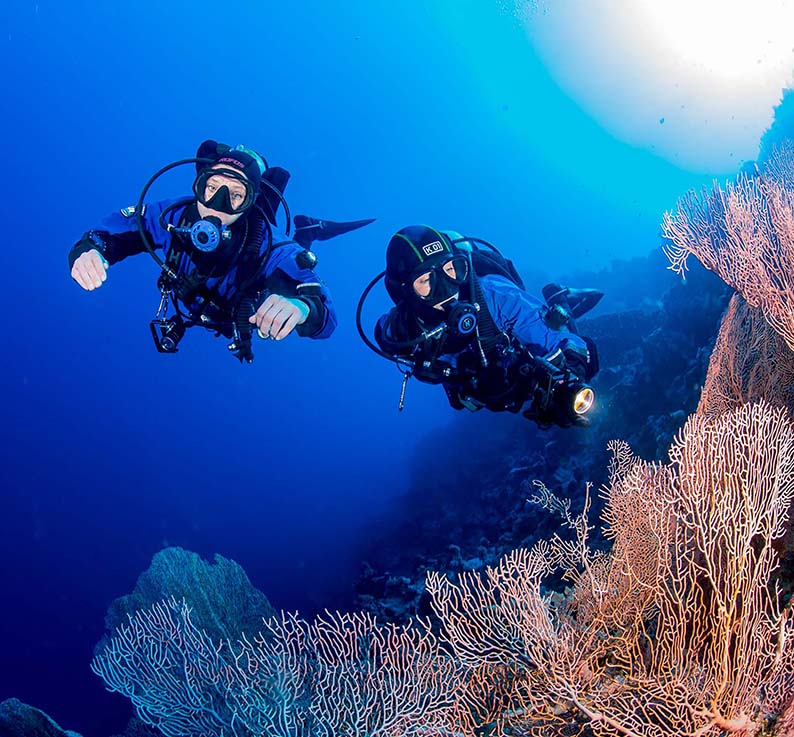 RECREATIONAL DIVER 2